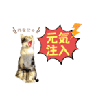 むさし＆れな＆くぅ（個別スタンプ：8）
