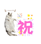 むさし＆れな＆くぅ（個別スタンプ：9）
