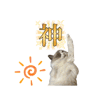 むさし＆れな＆くぅ（個別スタンプ：11）