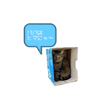 むさし＆れな＆くぅ（個別スタンプ：13）