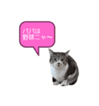 むさし＆れな＆くぅ（個別スタンプ：14）