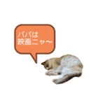 むさし＆れな＆くぅ（個別スタンプ：15）