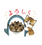 可愛いごにゃん♪（個別スタンプ：1）