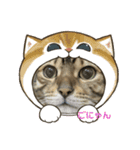 可愛いごにゃん♪（個別スタンプ：2）