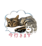 可愛いごにゃん♪（個別スタンプ：13）