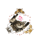 可愛いごにゃん♪（個別スタンプ：14）