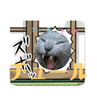 可愛いごにゃん♪（個別スタンプ：23）