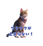 引き寄せるワクワクCAT（個別スタンプ：2）