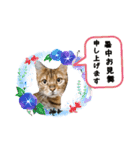 ベンガル猫の凛桜（リオ）（個別スタンプ：24）
