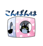 ニャンとポレポレ（個別スタンプ：4）