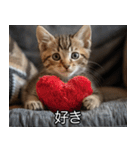 かわいい猫彼女【カップル・夫婦・嫁】（個別スタンプ：1）