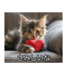 かわいい猫彼女【カップル・夫婦・嫁】（個別スタンプ：2）