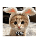 かわいい猫彼女【カップル・夫婦・嫁】（個別スタンプ：3）