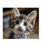 かわいい猫彼女【カップル・夫婦・嫁】（個別スタンプ：4）