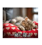 かわいい猫彼女【カップル・夫婦・嫁】（個別スタンプ：7）