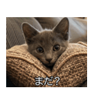 かわいい猫彼女【カップル・夫婦・嫁】（個別スタンプ：9）
