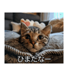 かわいい猫彼女【カップル・夫婦・嫁】（個別スタンプ：10）