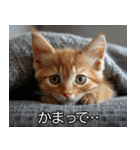 かわいい猫彼女【カップル・夫婦・嫁】（個別スタンプ：11）
