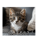 かわいい猫彼女【カップル・夫婦・嫁】（個別スタンプ：12）