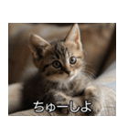 かわいい猫彼女【カップル・夫婦・嫁】（個別スタンプ：16）