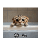 かわいい猫彼女【カップル・夫婦・嫁】（個別スタンプ：17）