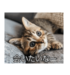 かわいい猫彼女【カップル・夫婦・嫁】（個別スタンプ：19）
