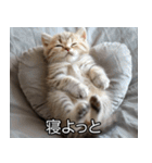 かわいい猫彼女【カップル・夫婦・嫁】（個別スタンプ：20）