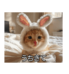 かわいい猫彼女【カップル・夫婦・嫁】（個別スタンプ：21）