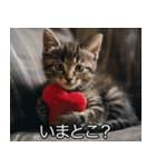 かわいい猫彼女【カップル・夫婦・嫁】（個別スタンプ：23）