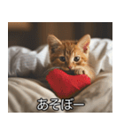 かわいい猫彼女【カップル・夫婦・嫁】（個別スタンプ：24）