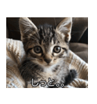 かわいい猫彼女【カップル・夫婦・嫁】（個別スタンプ：27）