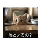 かわいい猫彼女【カップル・夫婦・嫁】（個別スタンプ：28）