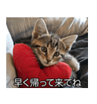 かわいい猫彼女【カップル・夫婦・嫁】（個別スタンプ：32）