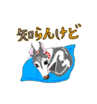 イタグレ、アン➕ときどき飼い主（個別スタンプ：4）