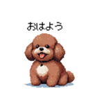 ぽちゃトイプードル 茶 ドット絵 日常会話（個別スタンプ：1）