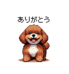 ぽちゃトイプードル 茶 ドット絵 日常会話（個別スタンプ：3）