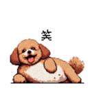 ぽちゃトイプードル 茶 ドット絵 日常会話（個別スタンプ：8）