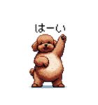 ぽちゃトイプードル 茶 ドット絵 日常会話（個別スタンプ：9）