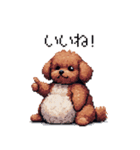 ぽちゃトイプードル 茶 ドット絵 日常会話（個別スタンプ：11）