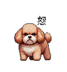 ぽちゃトイプードル 茶 ドット絵 日常会話（個別スタンプ：12）