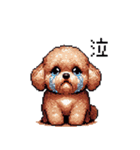 ぽちゃトイプードル 茶 ドット絵 日常会話（個別スタンプ：13）