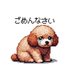 ぽちゃトイプードル 茶 ドット絵 日常会話（個別スタンプ：15）