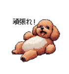 ぽちゃトイプードル 茶 ドット絵 日常会話（個別スタンプ：17）