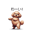 ぽちゃトイプードル 茶 ドット絵 日常会話（個別スタンプ：21）