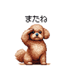 ぽちゃトイプードル 茶 ドット絵 日常会話（個別スタンプ：22）