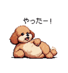 ぽちゃトイプードル 茶 ドット絵 日常会話（個別スタンプ：27）