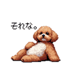 ぽちゃトイプードル 茶 ドット絵 日常会話（個別スタンプ：28）