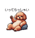 ぽちゃトイプードル 茶 ドット絵 日常会話（個別スタンプ：29）