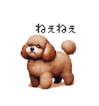 ぽちゃトイプードル 茶 ドット絵 日常会話（個別スタンプ：32）