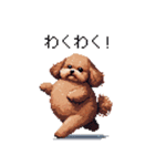 ぽちゃトイプードル 茶 ドット絵 日常会話（個別スタンプ：34）